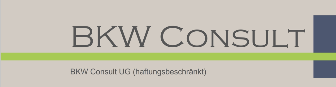 BKW Consult UG